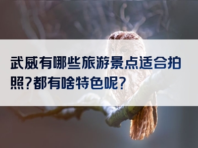 武威有哪些旅游景点适合拍照？都有啥特色呢？