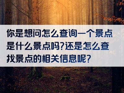 你是想问怎么查询一个景点是什么景点吗？还是怎么查找景点的相关信息呢？