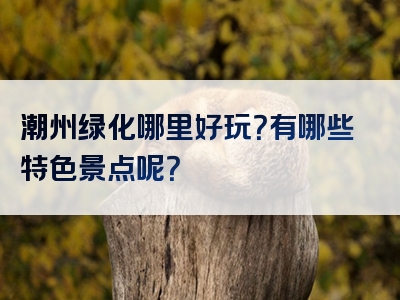 潮州绿化哪里好玩？有哪些特色景点呢？