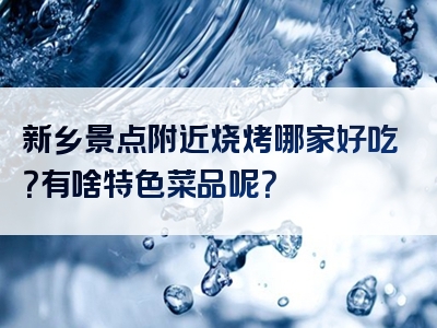 新乡景点附近烧烤哪家好吃？有啥特色菜品呢？