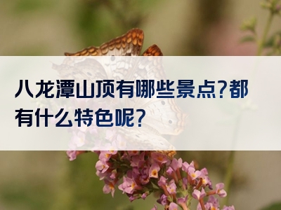 八龙潭山顶有哪些景点？都有什么特色呢？