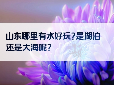 山东哪里有水好玩？是湖泊还是大海呢？