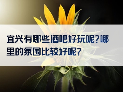 宜兴有哪些酒吧好玩呢？哪里的氛围比较好呢？