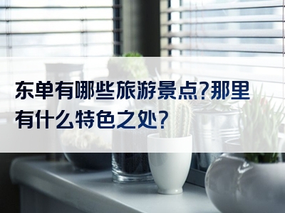 东单有哪些旅游景点？那里有什么特色之处？