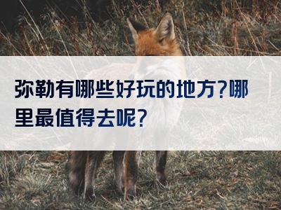 弥勒有哪些好玩的地方？哪里最值得去呢？