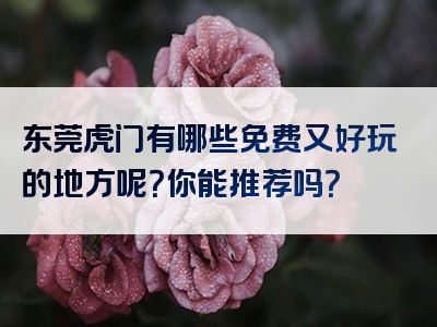 东莞虎门有哪些免费又好玩的地方呢？你能推荐吗？