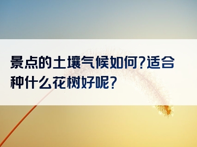 景点的土壤气候如何？适合种什么花树好呢？