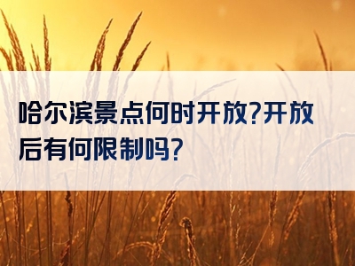 哈尔滨景点何时开放？开放后有何限制吗？