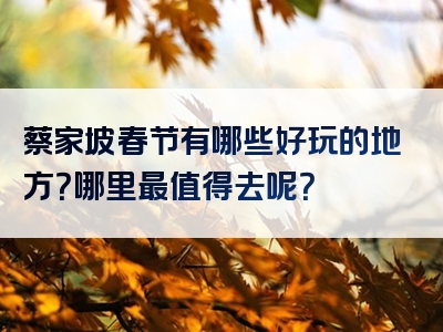 蔡家坡春节有哪些好玩的地方？哪里最值得去呢？