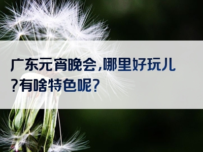 广东元宵晚会，哪里好玩儿？有啥特色呢？