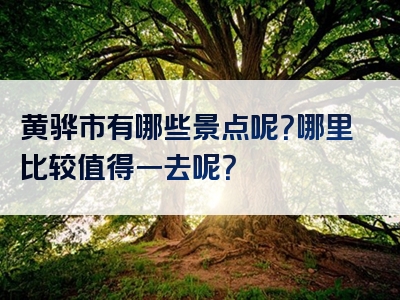 黄骅市有哪些景点呢？哪里比较值得一去呢？