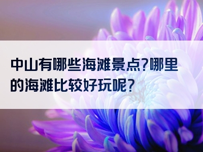 中山有哪些海滩景点？哪里的海滩比较好玩呢？