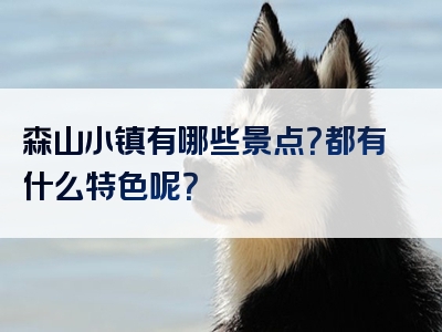 森山小镇有哪些景点？都有什么特色呢？