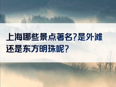上海哪些景点著名？是外滩还是东方明珠呢？