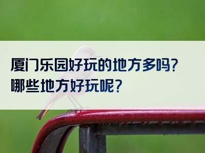 厦门乐园好玩的地方多吗？哪些地方好玩呢？