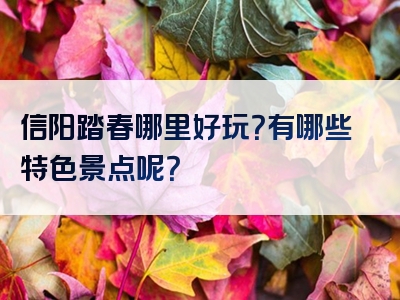 信阳踏春哪里好玩？有哪些特色景点呢？