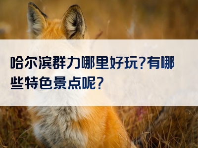 哈尔滨群力哪里好玩？有哪些特色景点呢？