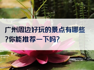 广州周边好玩的景点有哪些？你能推荐一下吗？