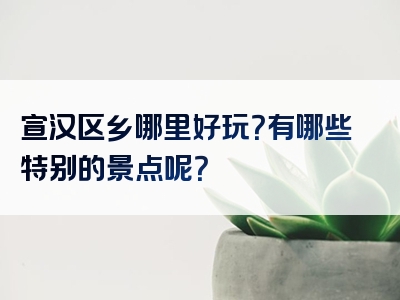 宣汉区乡哪里好玩？有哪些特别的景点呢？