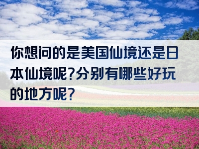 你想问的是美国仙境还是日本仙境呢？分别有哪些好玩的地方呢？
