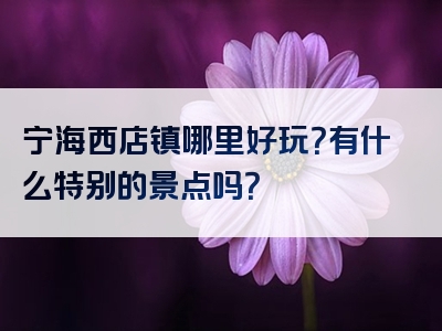 宁海西店镇哪里好玩？有什么特别的景点吗？