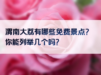 渭南大荔有哪些免费景点？你能列举几个吗？
