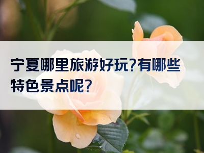 宁夏哪里旅游好玩？有哪些特色景点呢？