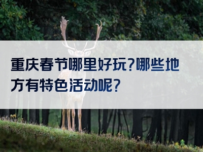 重庆春节哪里好玩？哪些地方有特色活动呢？