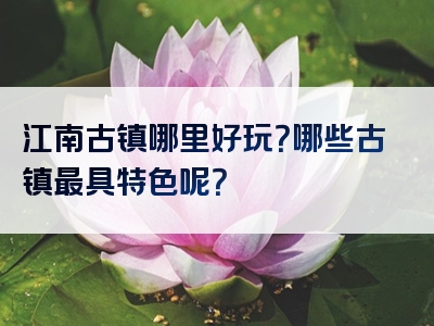 江南古镇哪里好玩？哪些古镇最具特色呢？