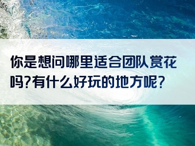 你是想问哪里适合团队赏花吗？有什么好玩的地方呢？