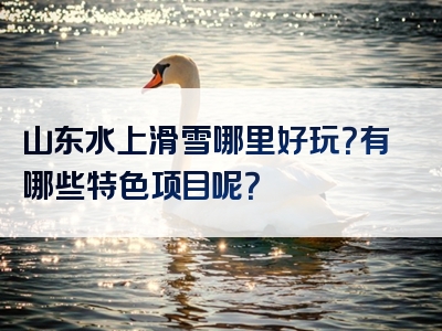 山东水上滑雪哪里好玩？有哪些特色项目呢？