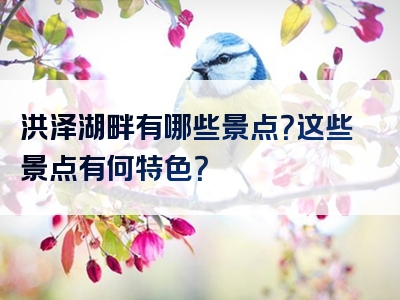 洪泽湖畔有哪些景点？这些景点有何特色？