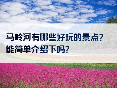 马岭河有哪些好玩的景点？能简单介绍下吗？