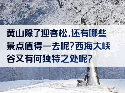 黄山除了迎客松，还有哪些景点值得一去呢？西海大峡谷又有何独特之处呢？