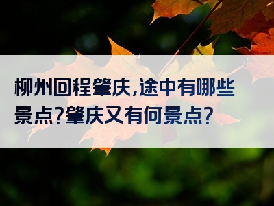 柳州回程肇庆，途中有哪些景点？肇庆又有何景点？