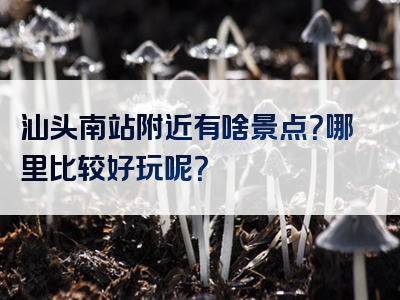 汕头南站附近有啥景点？哪里比较好玩呢？