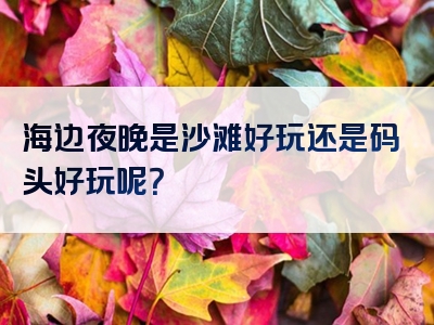 海边夜晚是沙滩好玩还是码头好玩呢？