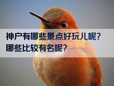 神户有哪些景点好玩儿呢？哪些比较有名呢？