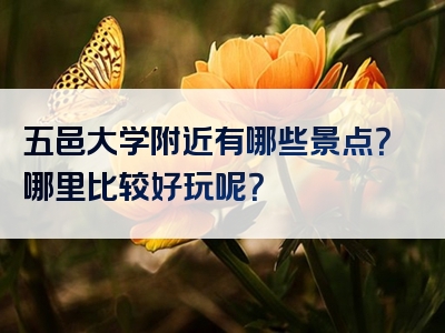 五邑大学附近有哪些景点？哪里比较好玩呢？