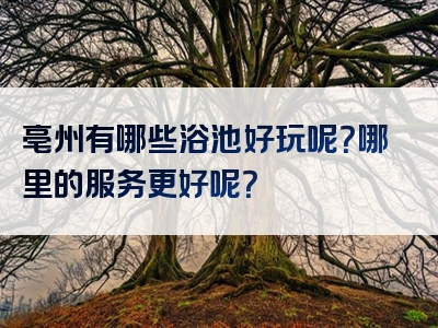 亳州有哪些浴池好玩呢？哪里的服务更好呢？