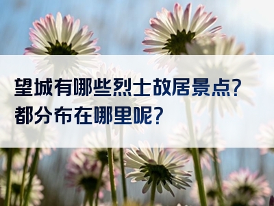 望城有哪些烈士故居景点？都分布在哪里呢？