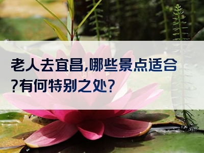 老人去宜昌，哪些景点适合？有何特别之处？