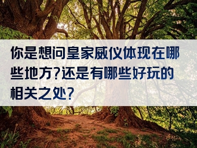 你是想问皇家威仪体现在哪些地方？还是有哪些好玩的相关之处？