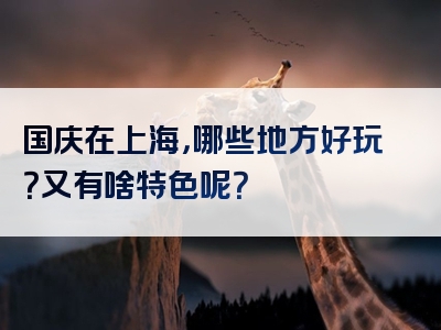 国庆在上海，哪些地方好玩？又有啥特色呢？