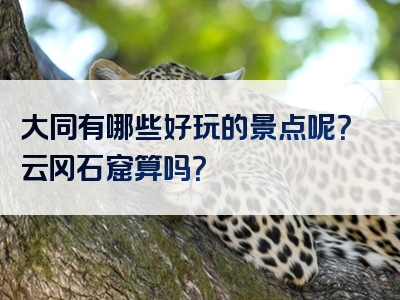 大同有哪些好玩的景点呢？云冈石窟算吗？