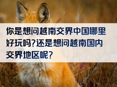 你是想问越南交界中国哪里好玩吗？还是想问越南国内交界地区呢？