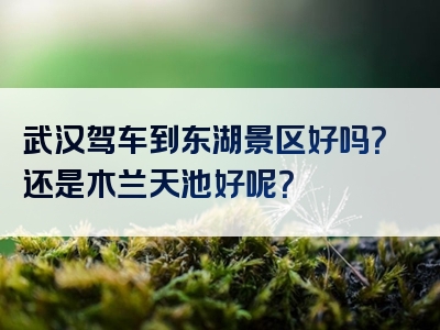 武汉驾车到东湖景区好吗？还是木兰天池好呢？