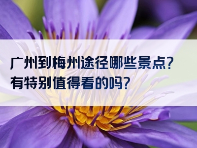广州到梅州途径哪些景点？有特别值得看的吗？