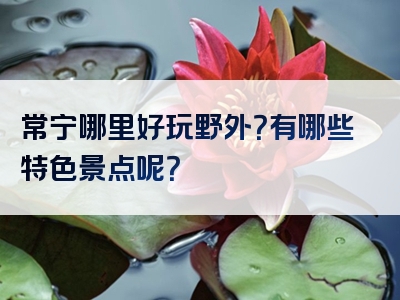 常宁哪里好玩野外？有哪些特色景点呢？