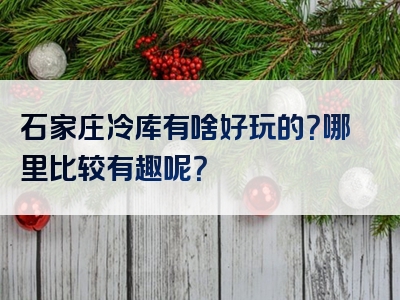 石家庄冷库有啥好玩的？哪里比较有趣呢？